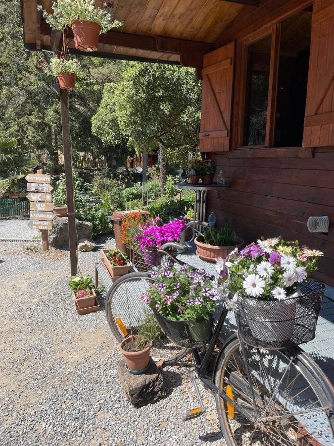 Agricamping Le Terrazze Hotel Orco Feglino Kültér fotó