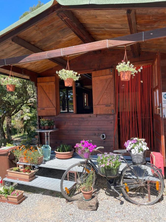 Agricamping Le Terrazze Hotel Orco Feglino Kültér fotó
