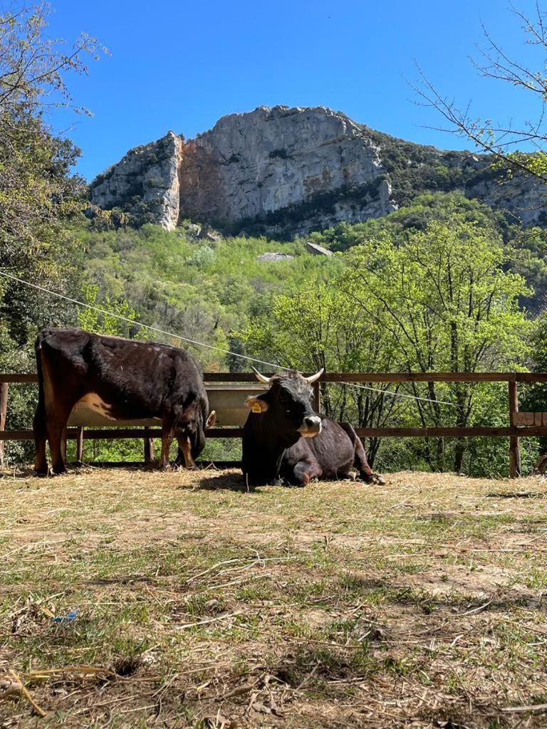 Agricamping Le Terrazze Hotel Orco Feglino Kültér fotó